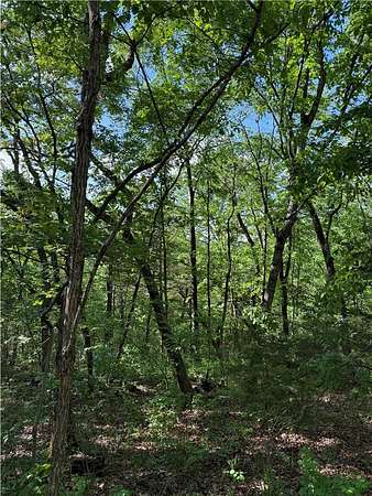 0.24 Acres of Residential Land for Sale in Holiday Island, Arkansas