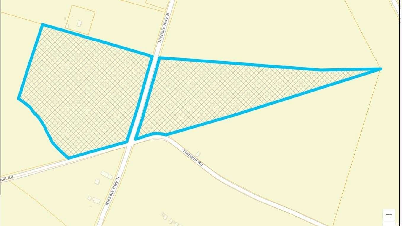 20 Acres of Land for Sale in Nichols, South Carolina