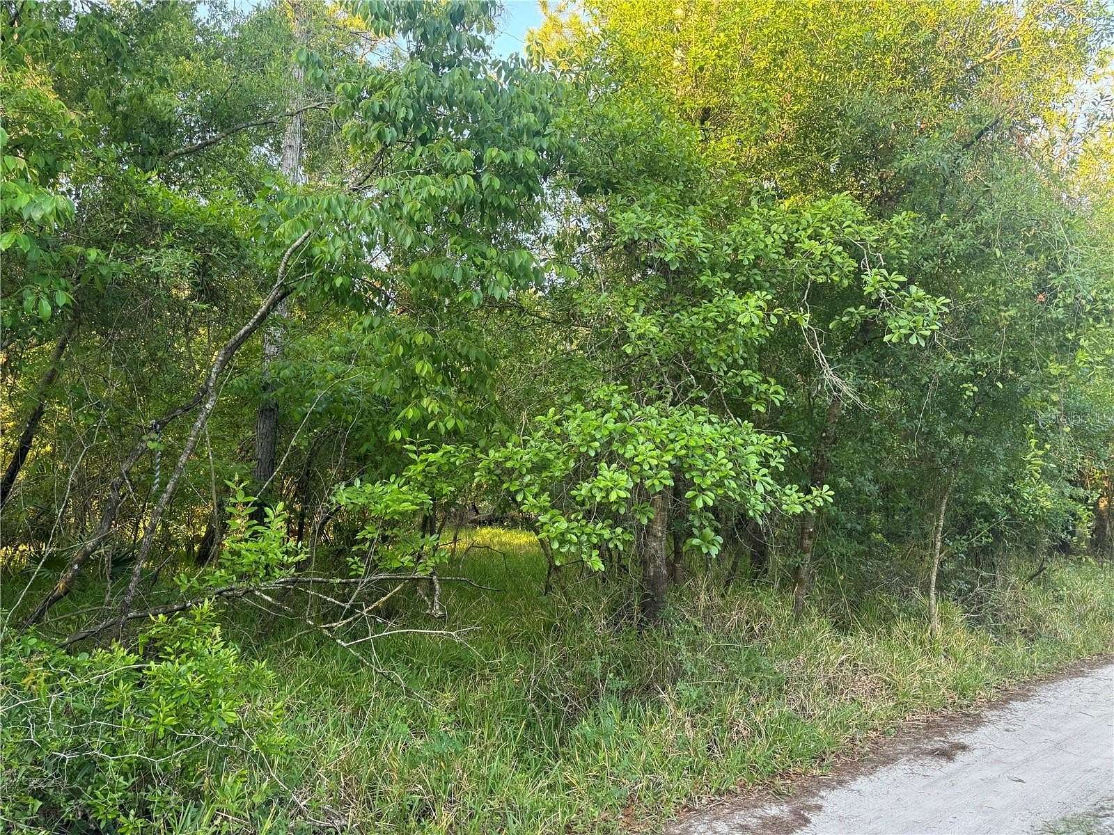 1.2 Acres of Land for Sale in Arcadia, Florida
