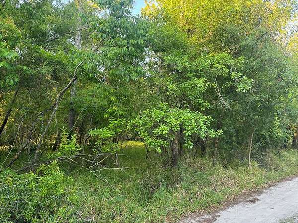 1.2 Acres of Land for Sale in Arcadia, Florida