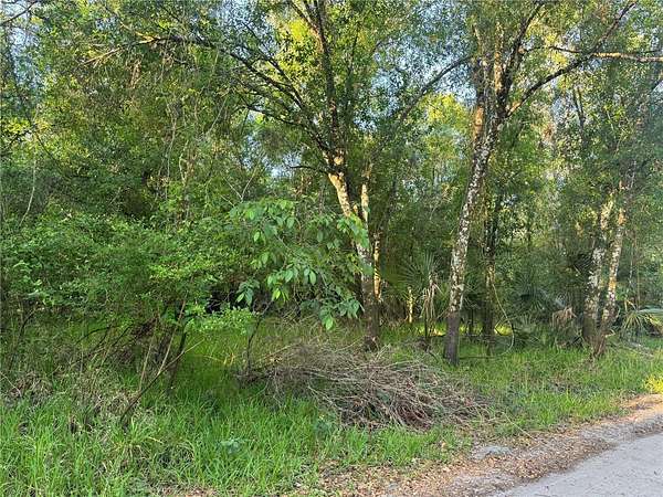 1.2 Acres of Residential Land for Sale in Arcadia, Florida