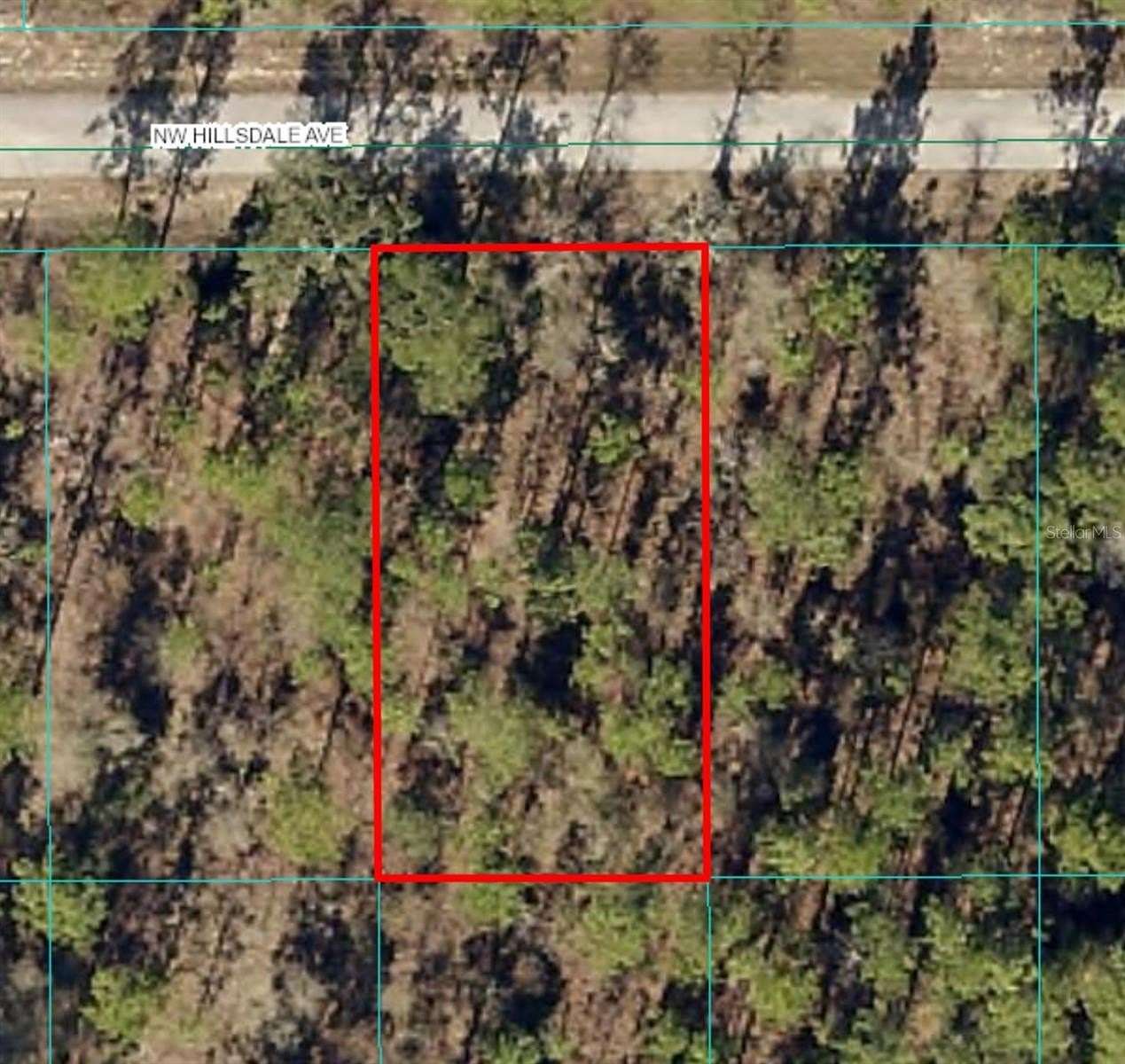 0.25 Acres of Residential Land for Sale in Dunnellon, Florida