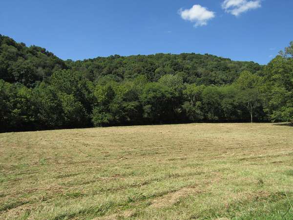 14 Acres of Land for Sale in Lafayette, Tennessee