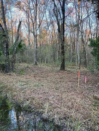 1.4 Acres of Residential Land for Sale in Hastings, Florida