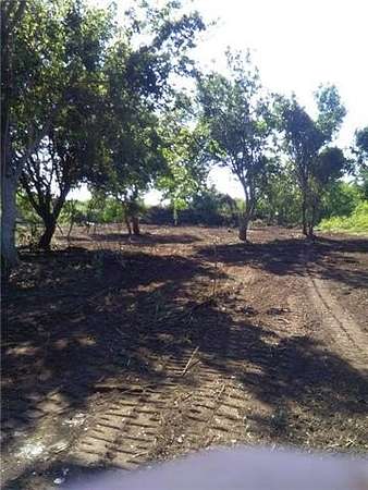 Land for Sale in Saint Bernard, Louisiana