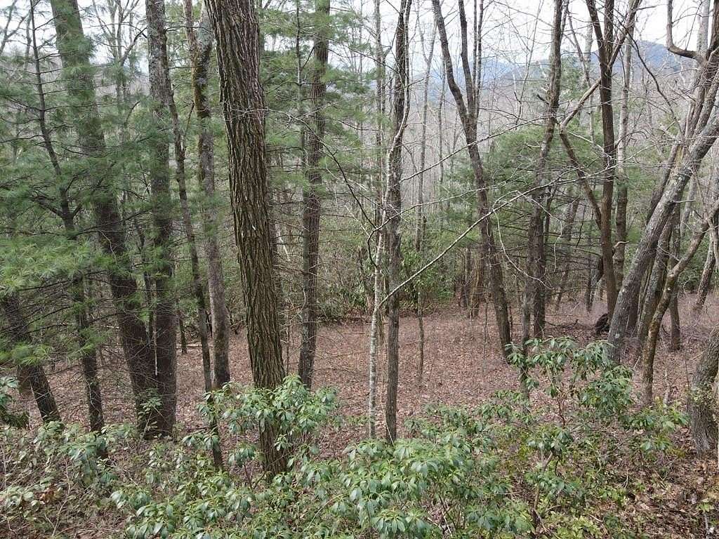 15 Acres of Land for Sale in Glenville, North Carolina