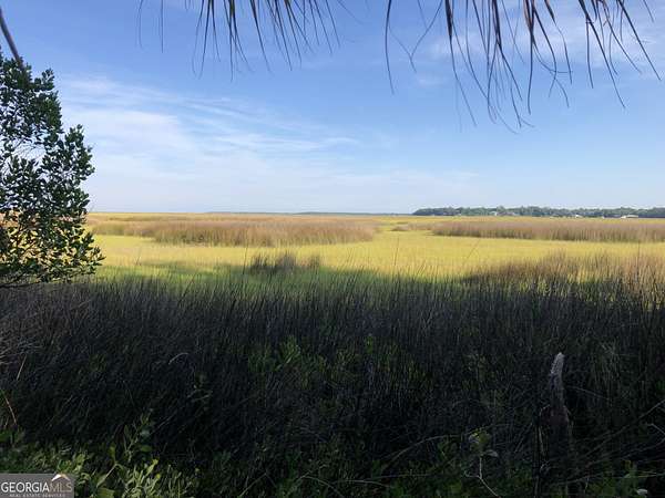 17.8 Acres of Land for Sale in Waverly, Georgia