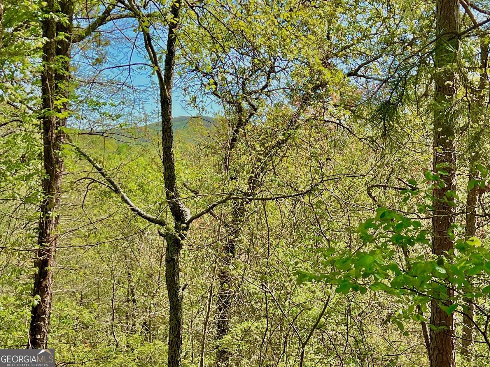 1.46 Acres of Residential Land for Sale in Ranger, Georgia