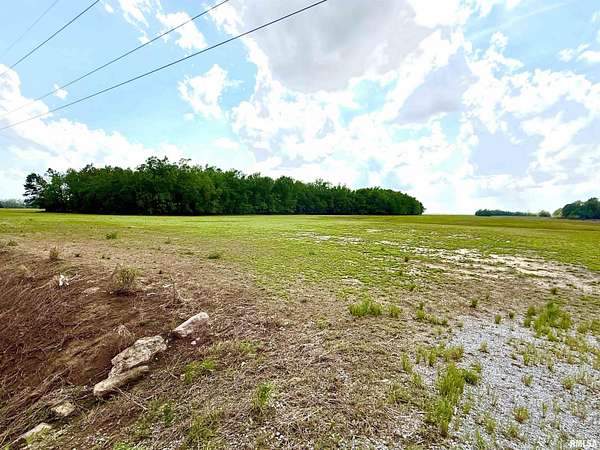 40 Acres of Recreational Land & Farm for Sale in Elizabethtown, Illinois