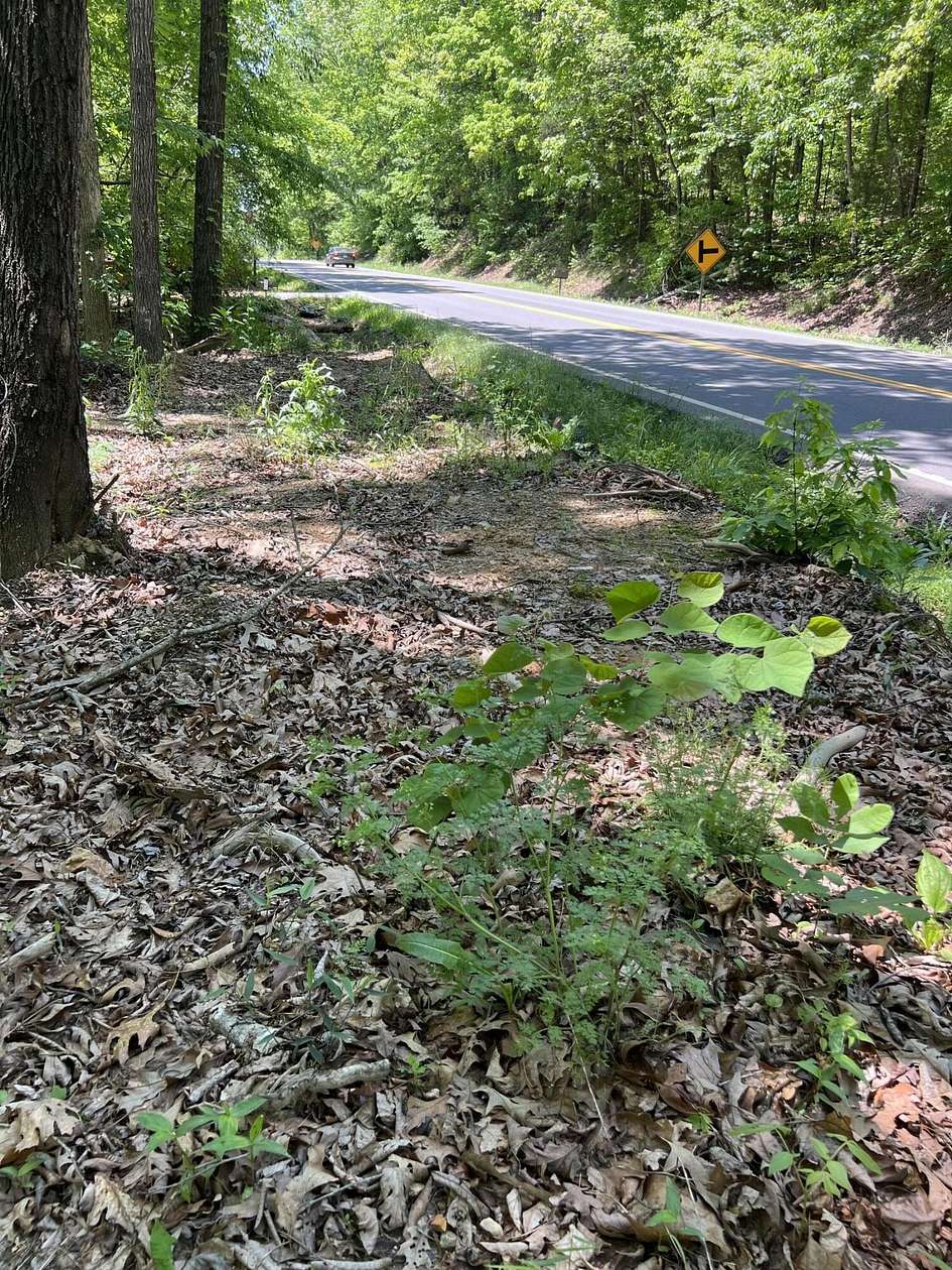0.95 Acres of Residential Land for Sale in Calhoun, Tennessee