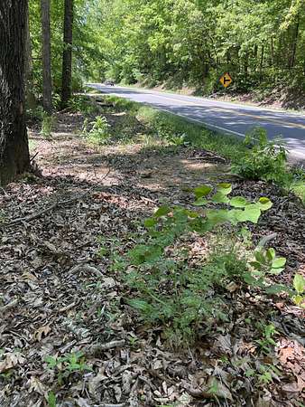 0.95 Acres of Residential Land for Sale in Calhoun, Tennessee
