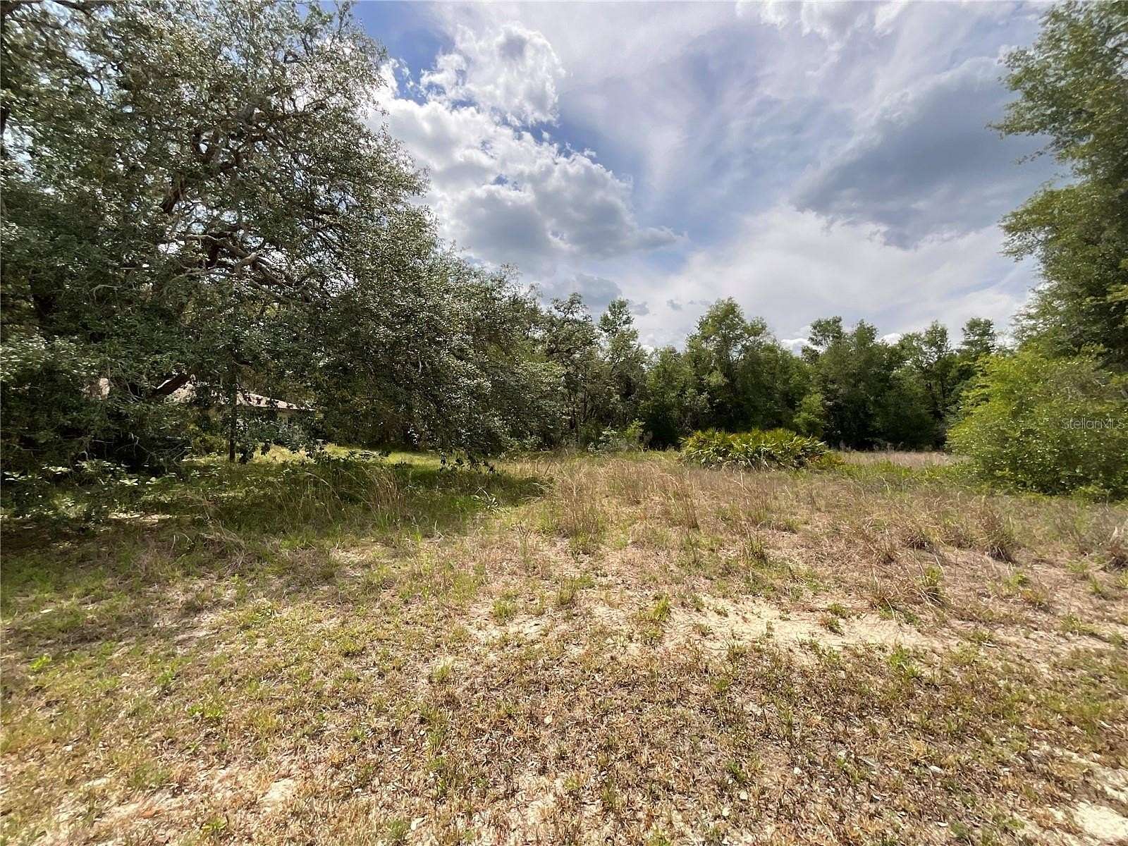 0.71 Acres of Residential Land for Sale in Webster, Florida