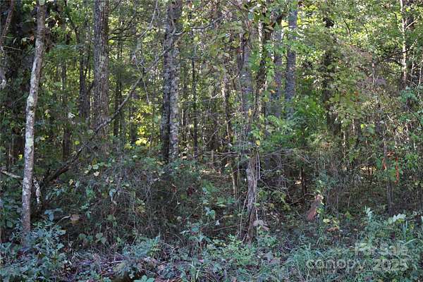 6.64 Acres of Residential Land for Sale in Rockwell, North Carolina