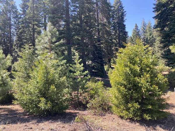 0.25 Acres of Residential Land for Sale in Lake Almanor Peninsula, California
