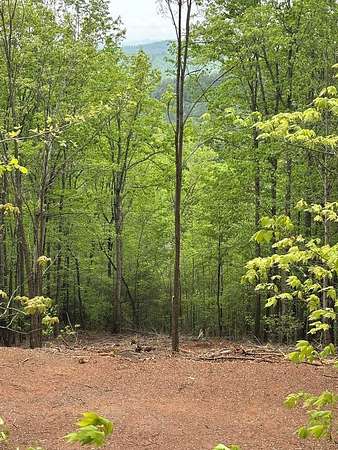 Residential Land for Sale in Murphy, North Carolina