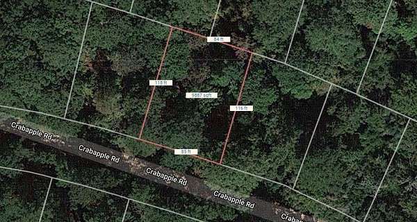 0.23 Acres of Land for Sale in Normangee, Texas