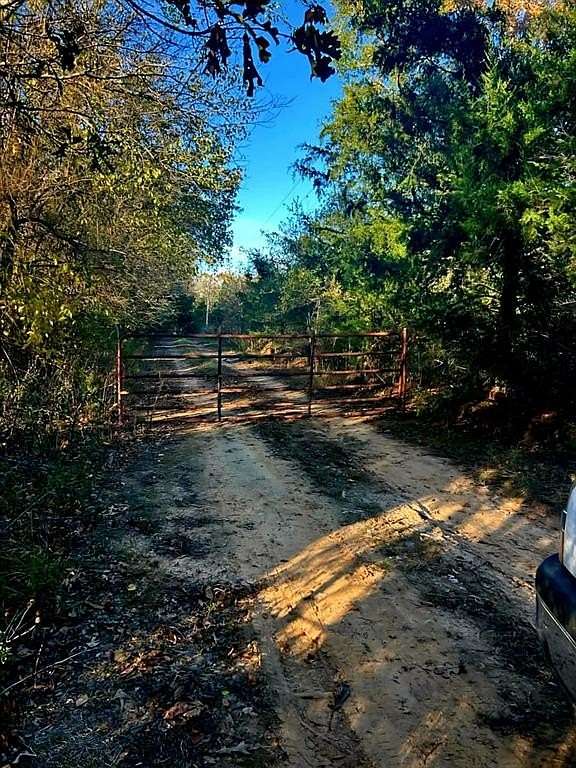 50.3 Acres of Recreational Land for Sale in De Kalb, Texas