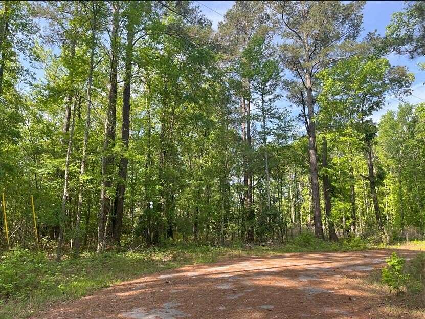 1 Acre of Residential Land for Sale in Bamberg, South Carolina