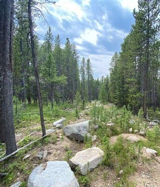16.6 Acres of Land for Sale in Philipsburg, Montana