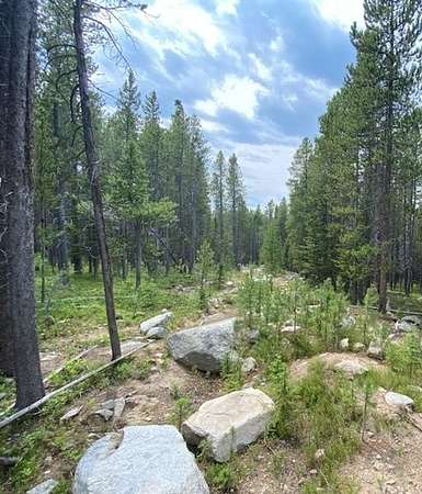 16.6 Acres of Land for Sale in Philipsburg, Montana
