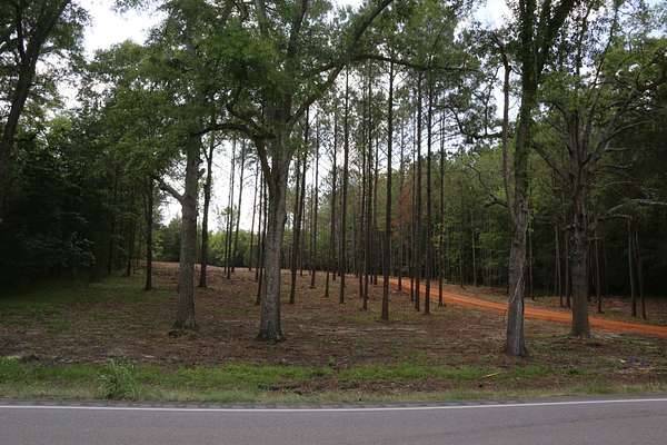 6 Acres of Land for Sale in Hope Hull, Alabama