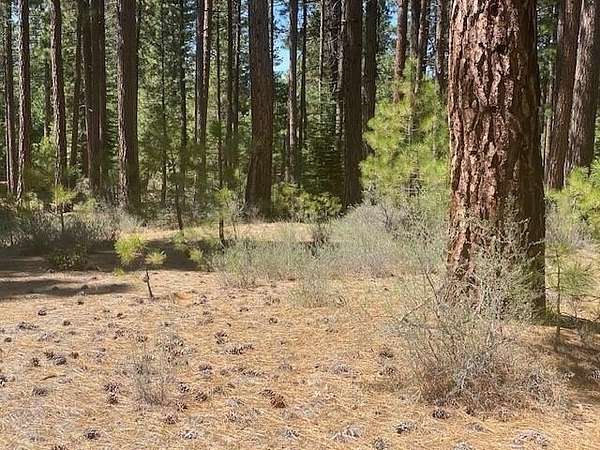 0.8 Acres of Residential Land for Sale in Clio, California