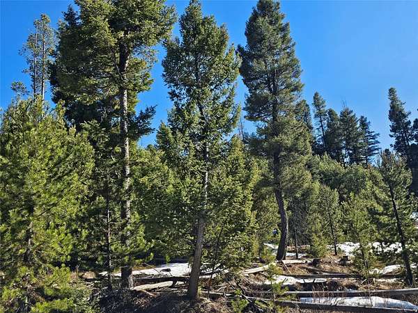 10 Acres of Recreational Land for Sale in Helmville, Montana