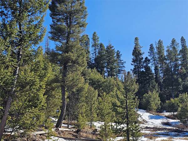 10 Acres of Recreational Land for Sale in Helmville, Montana