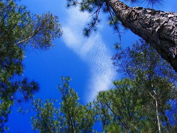 0.24 Acres of Residential Land for Sale in Lehigh Acres, Florida