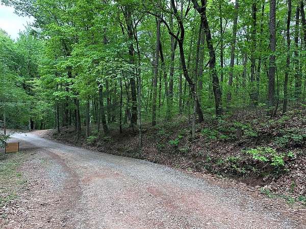 21 Acres of Land for Sale in Ellijay, Georgia