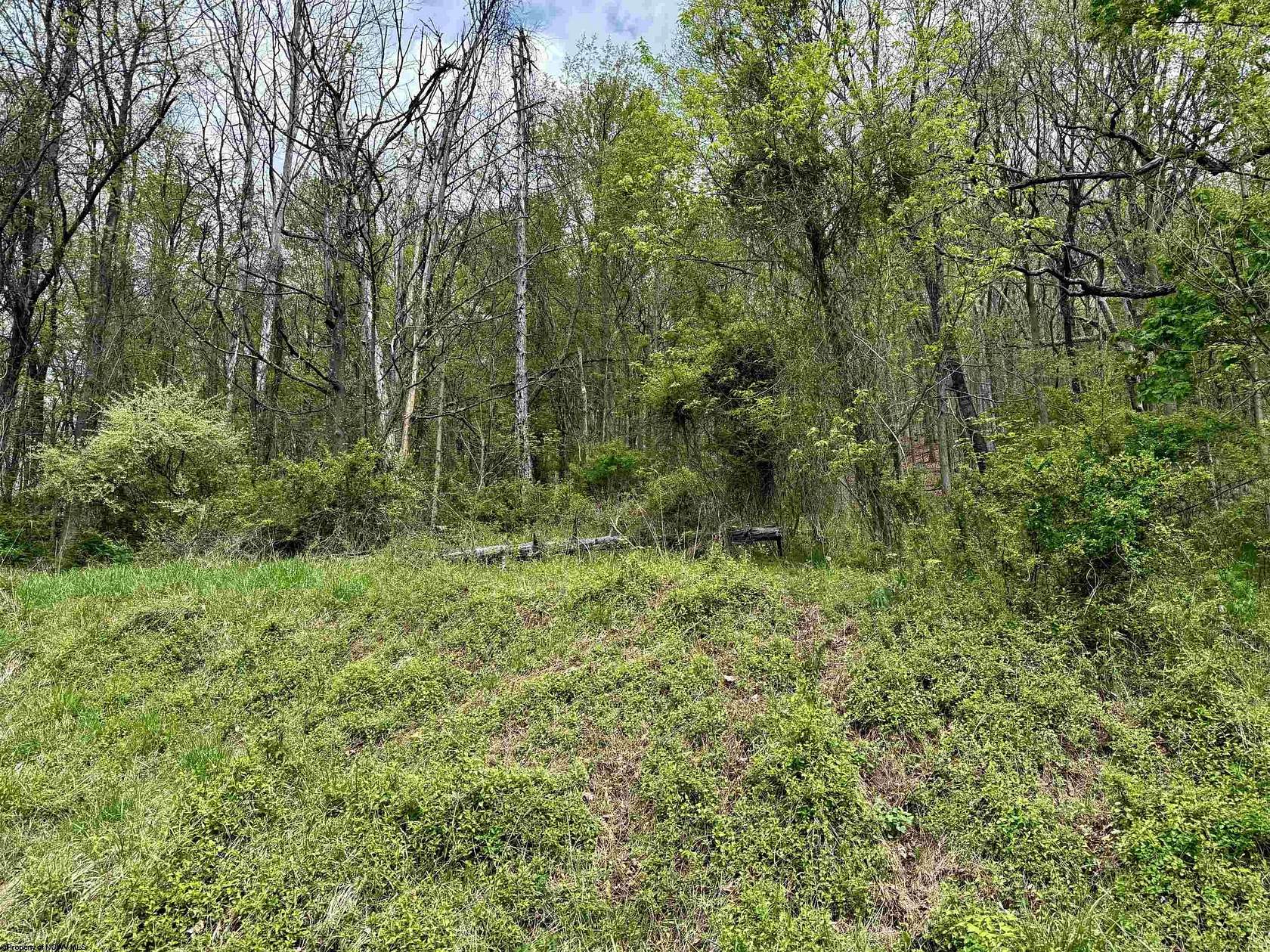 13.8 Acres of Land for Sale in Mannington, West Virginia
