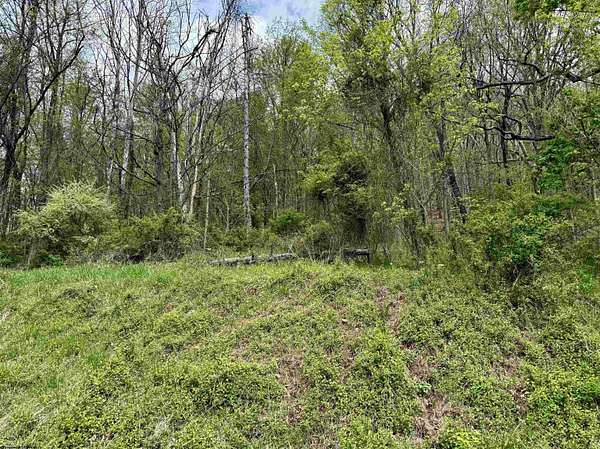13.8 Acres of Land for Sale in Mannington, West Virginia