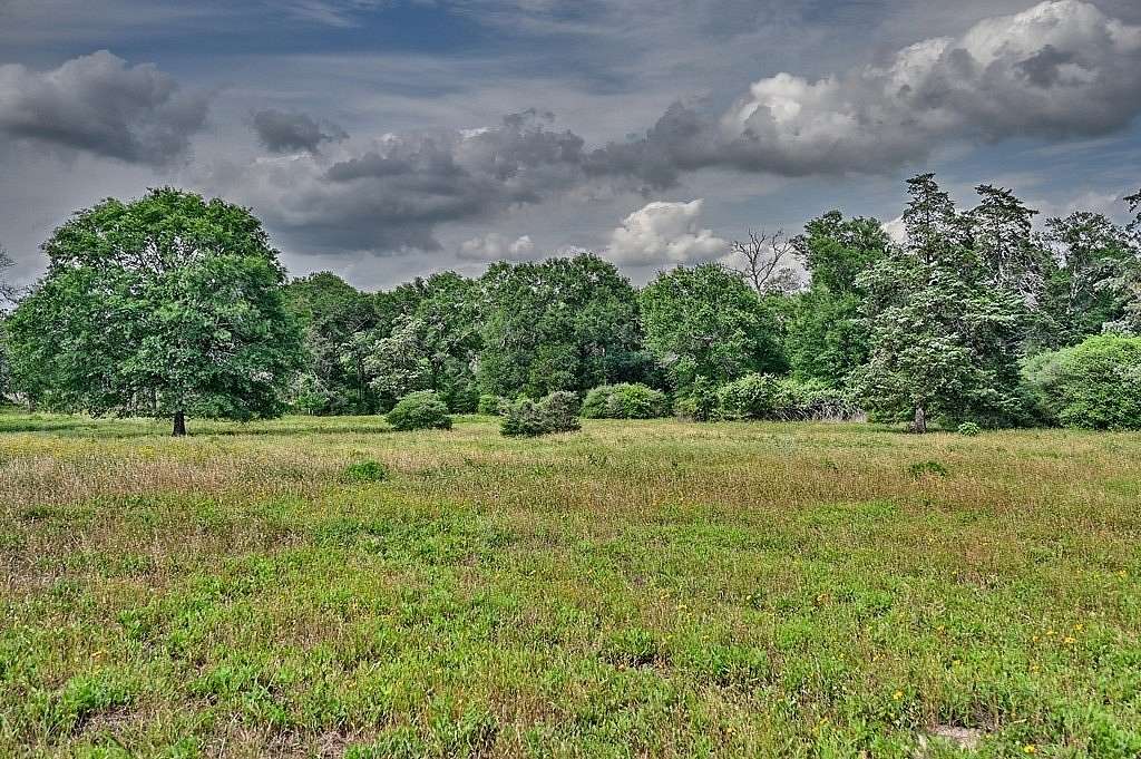 22.4 Acres of Land for Sale in Cat Spring, Texas