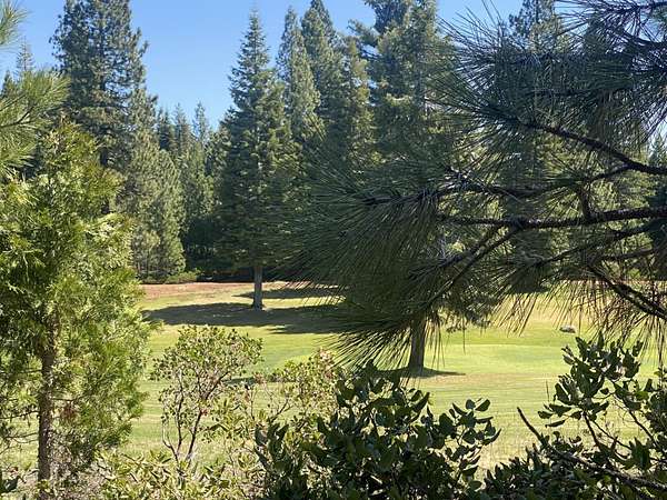 0.29 Acres of Residential Land for Sale in Lake Almanor Peninsula, California