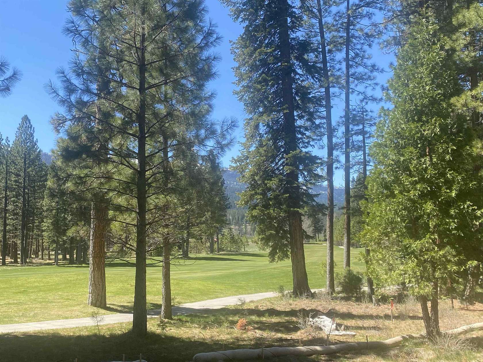 0.5 Acres of Residential Land for Sale in Clio, California