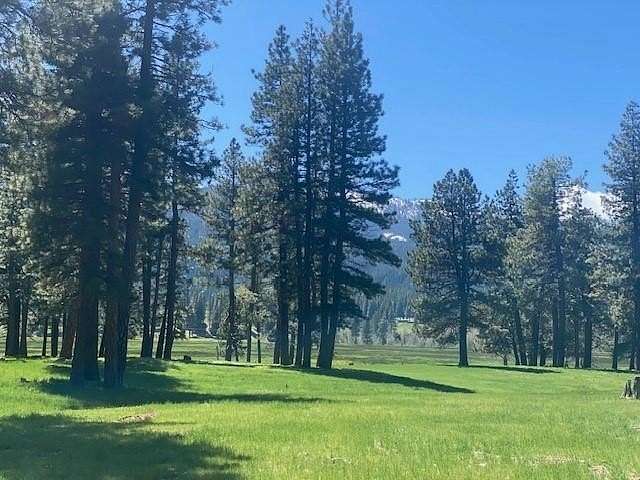 0.74 Acres of Residential Land for Sale in Clio, California