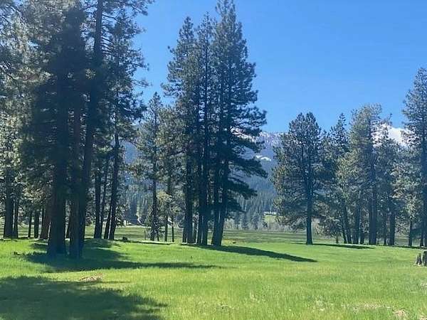 0.74 Acres of Residential Land for Sale in Clio, California