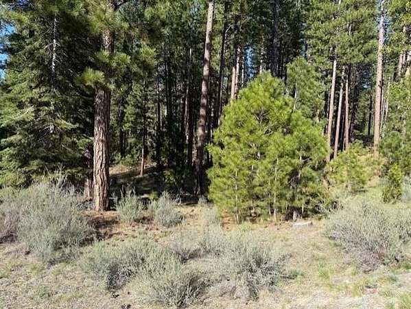 0.93 Acres of Residential Land for Sale in Clio, California
