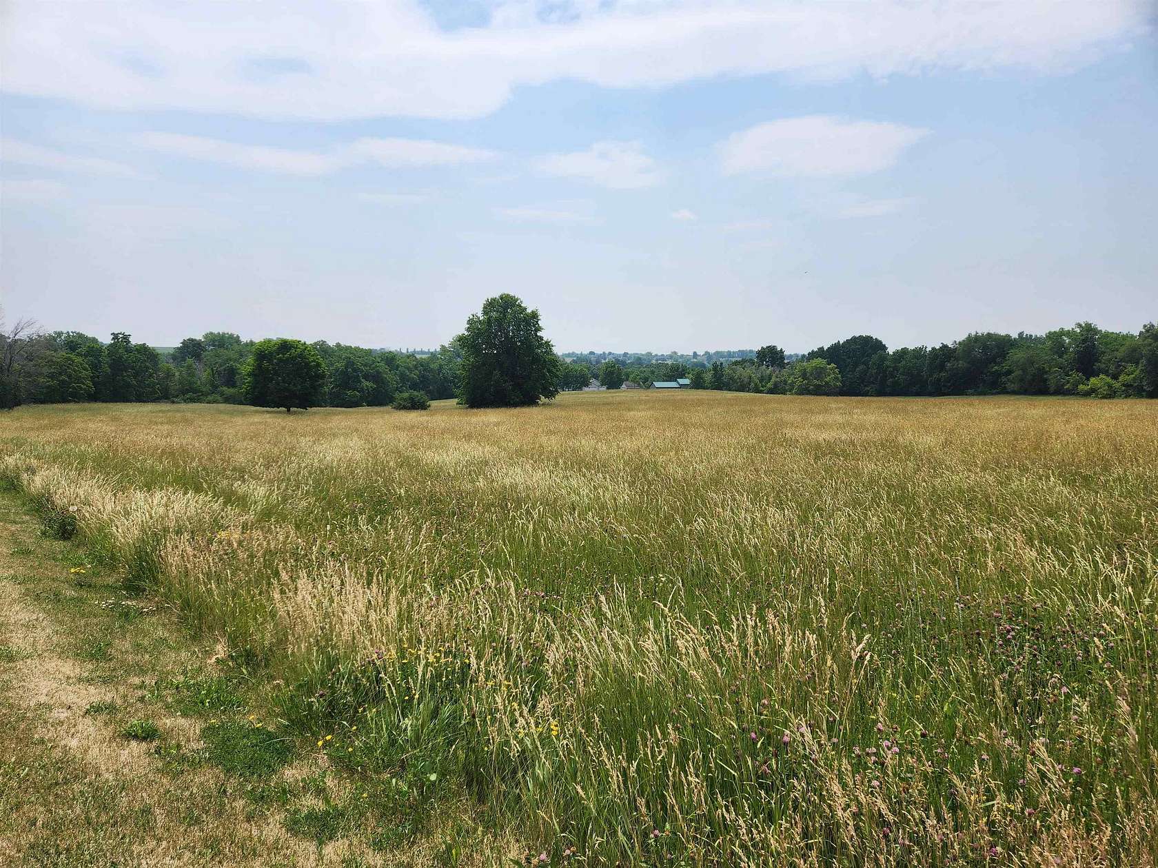 3.36 Acres of Residential Land for Sale in Cherry Grove-Shannon Township, Illinois