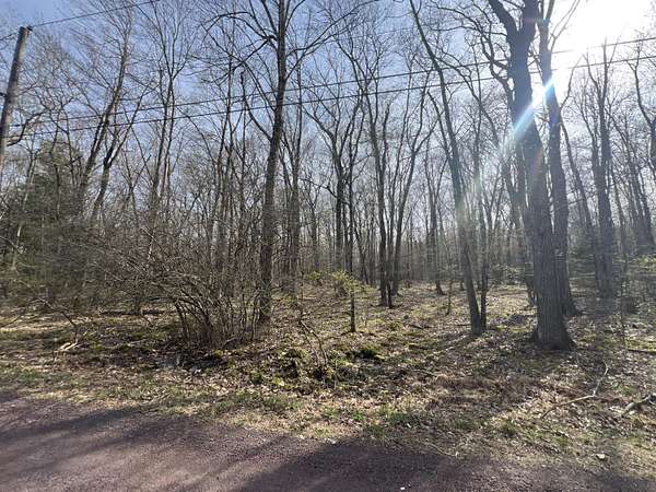0.45 Acres of Residential Land for Sale in Pocono Lake, Pennsylvania