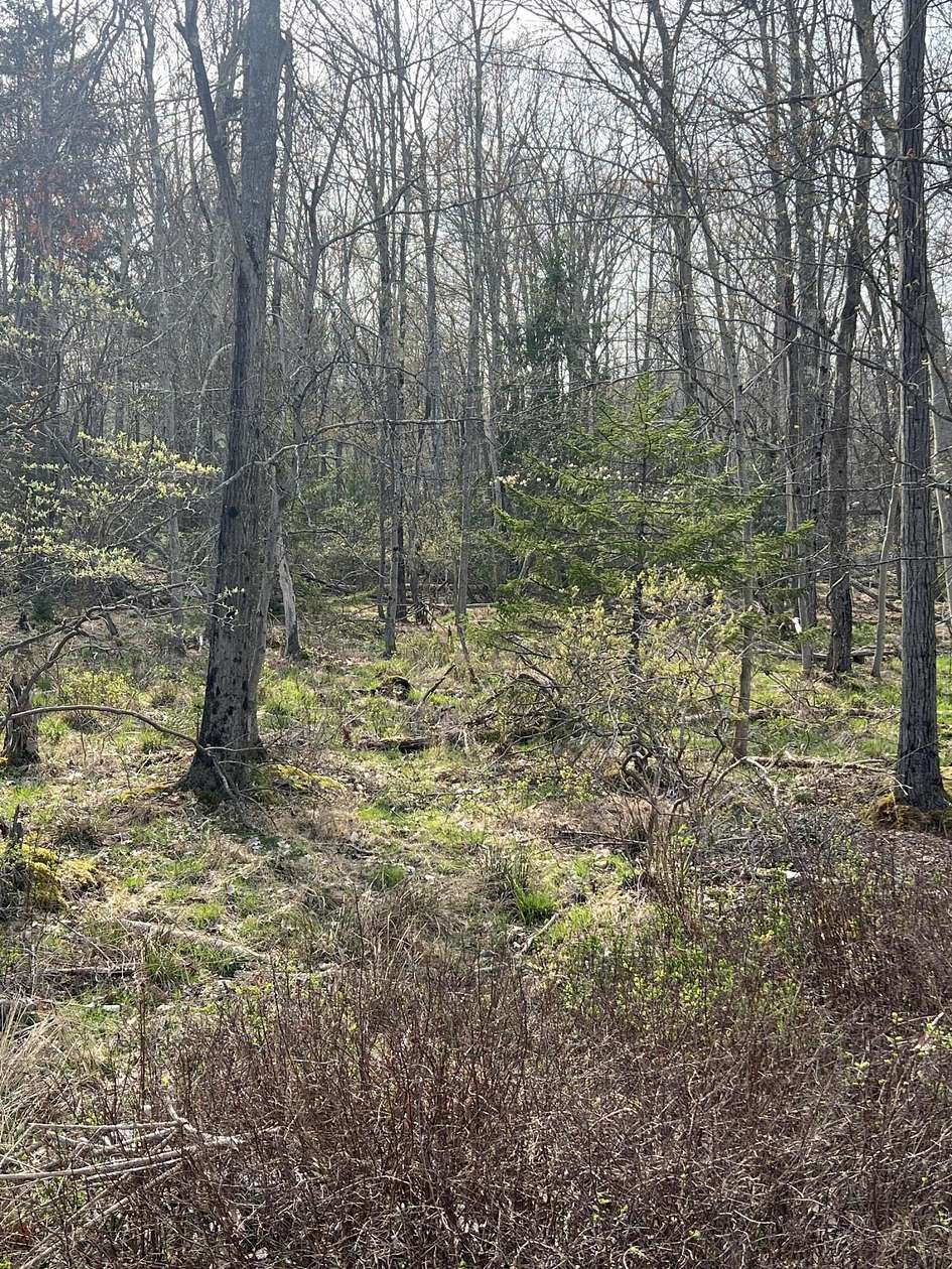 0.71 Acres of Residential Land for Sale in Pocono Lake, Pennsylvania