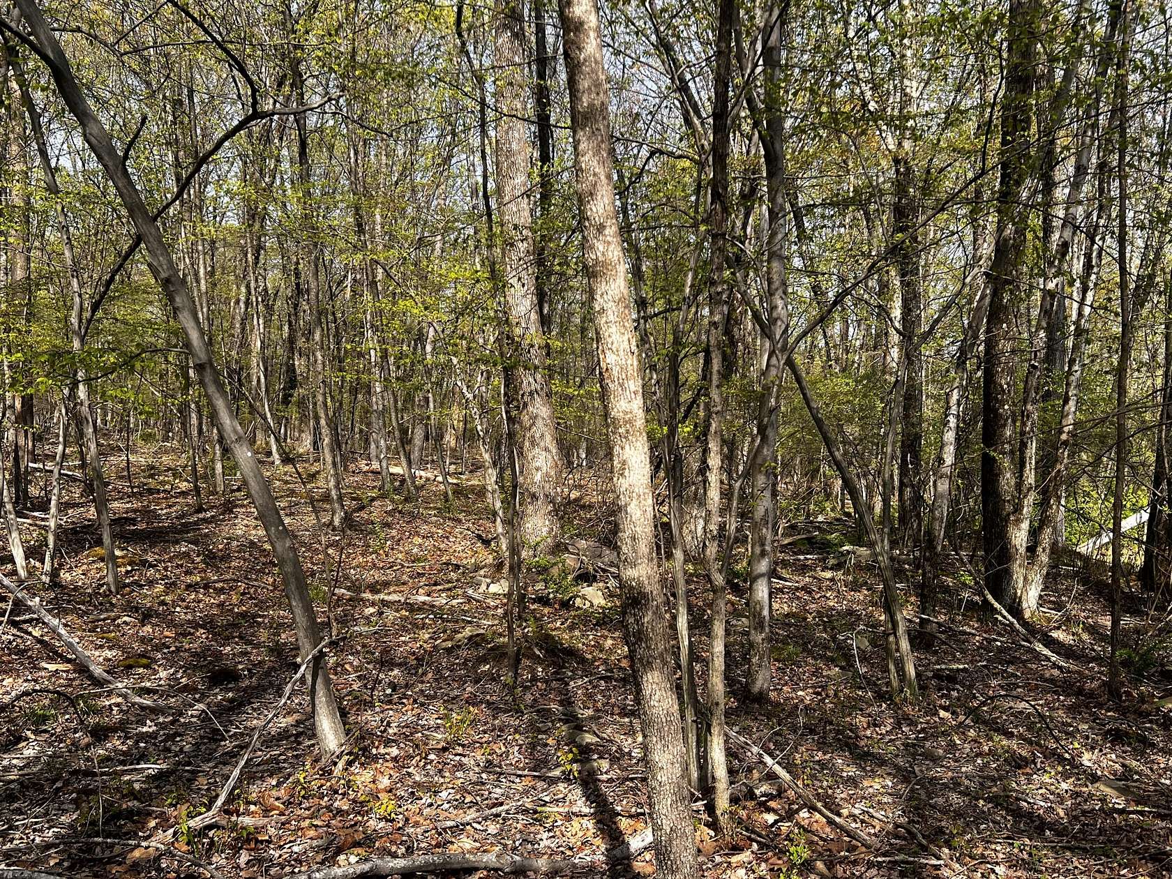 0.48 Acres of Residential Land for Sale in Stroudsburg, Pennsylvania