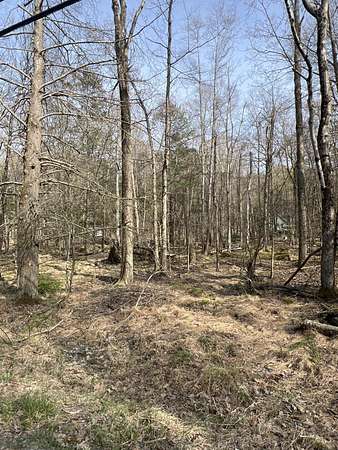0.38 Acres of Residential Land for Sale in Pocono Lake, Pennsylvania