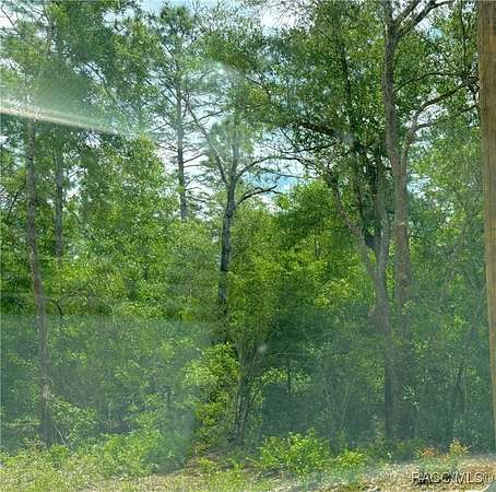 0.28 Acres of Residential Land for Sale in Crystal River, Florida