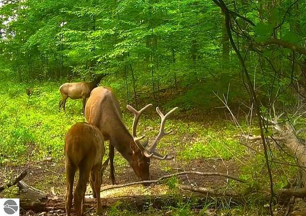 680 Acres of Land with Home for Sale in Johannesburg, Michigan