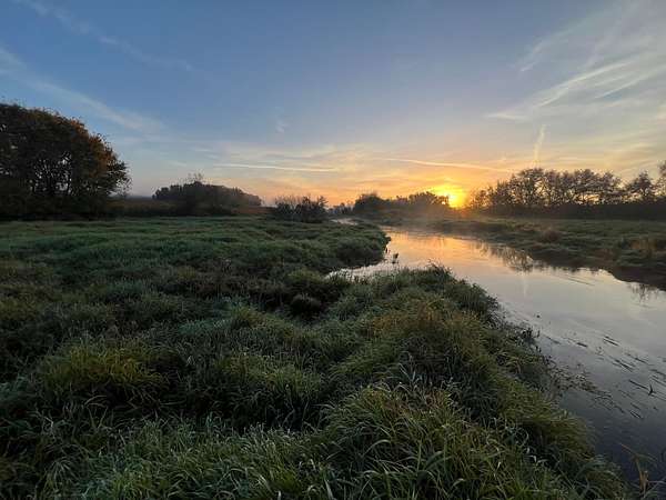 10 Acres of Land for Sale in Holdingford, Minnesota