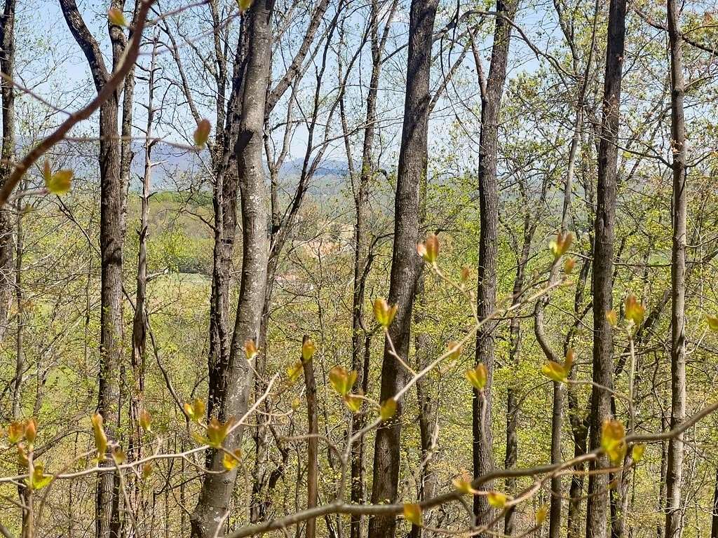 0.33 Acres of Residential Land for Sale in Fancy Gap, Virginia