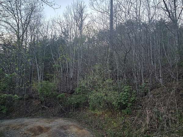 1 Acre of Land for Sale in Sylva, North Carolina
