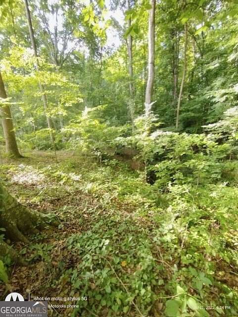 0.85 Acres of Residential Land for Sale in Nicholson, Georgia