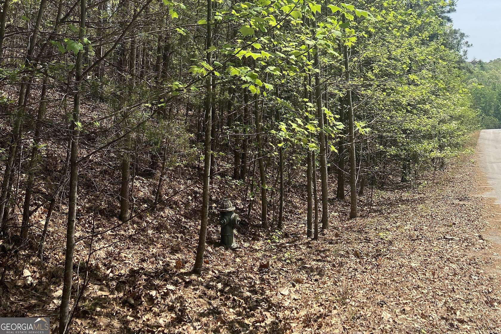 1 Acre of Residential Land for Sale in Baldwin, Georgia
